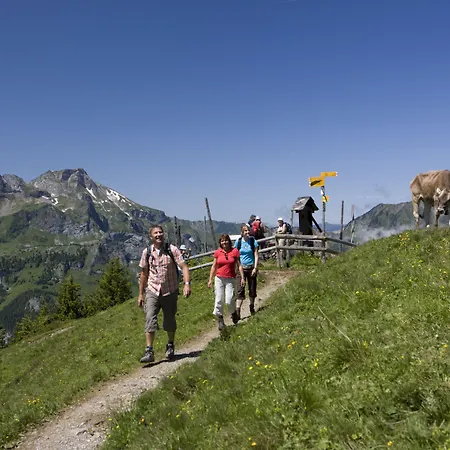 Hotel Berglodge Restaurant Ristis 2*