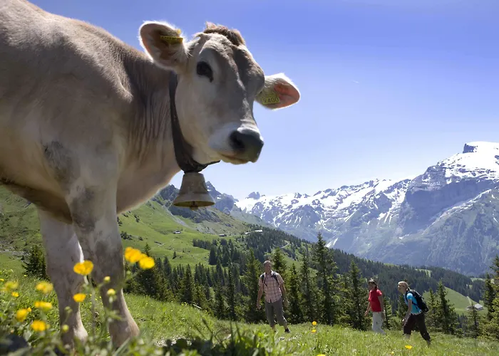 Hotel Berglodge Restaurant Ristis 2*