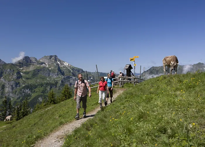 Hotel Berglodge Restaurant Ristis 2*