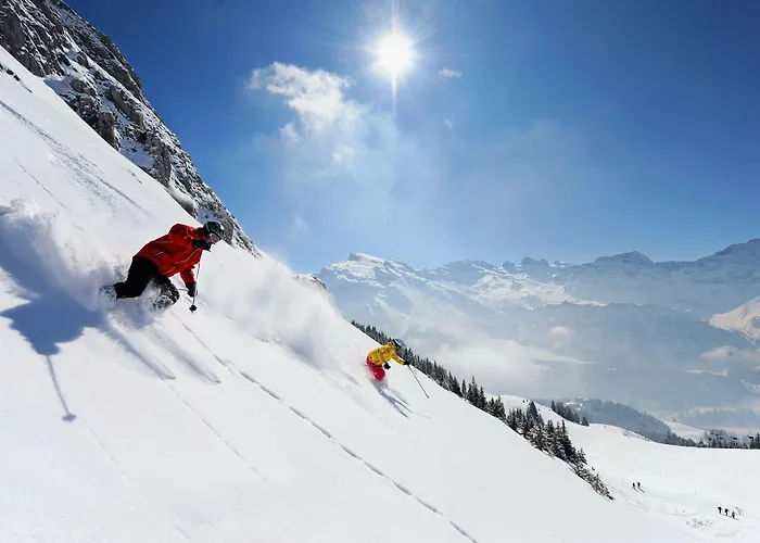 Berglodge Restaurant Ristis 2*