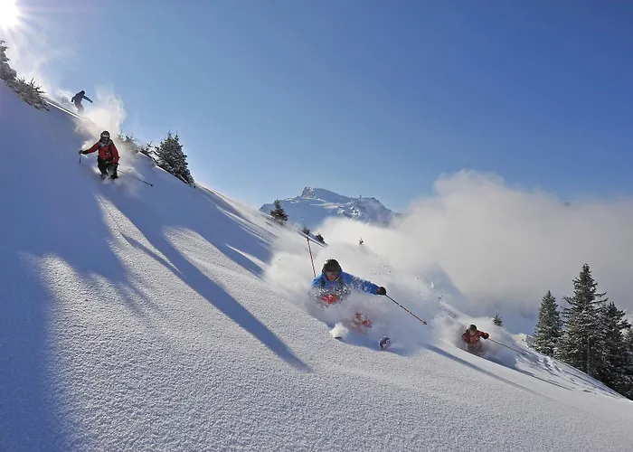 Berglodge Restaurant Ristis Hotel Engelberg