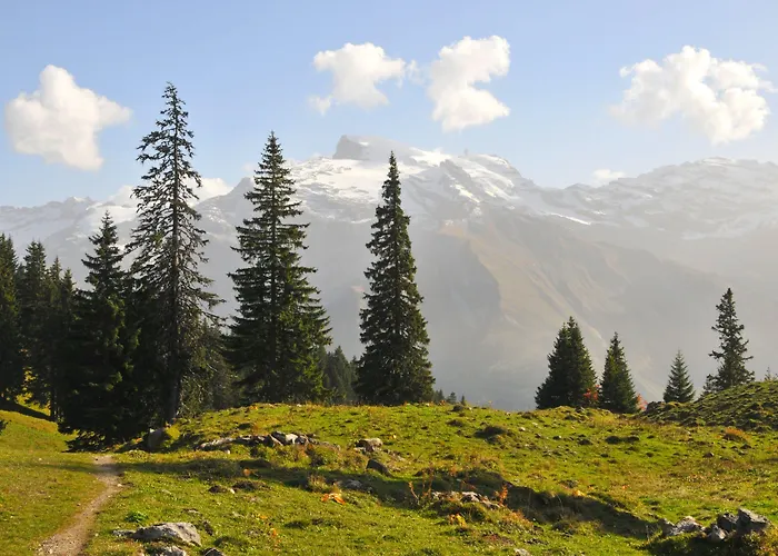 Berglodge Restaurant Ristis Hotel 2*