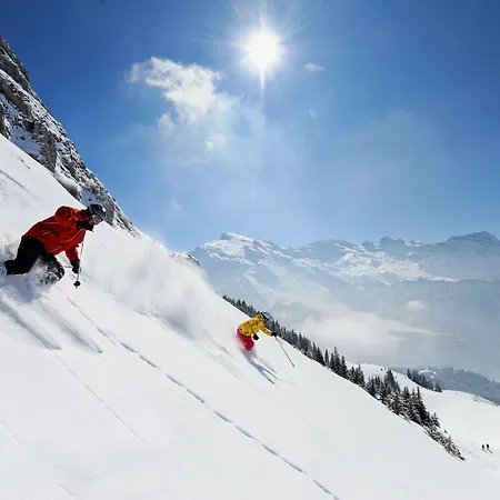 Berglodge Restaurant Ristis 2*