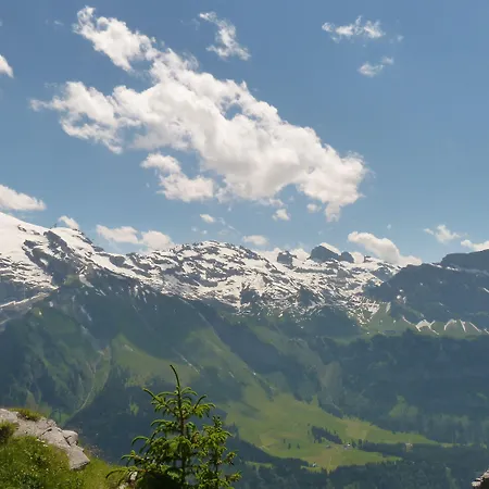 Hotel Berglodge Restaurant Ristis